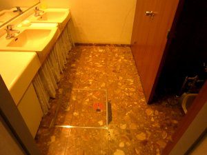 洗面台の下にはカーテンで仕切られたスペースがあった。